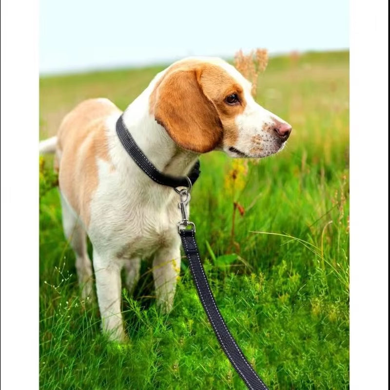 Reflective Dog Leash Pet Cat Soft Padded Handle for Comfortable Training and Walking for Medium and Small Dogs -