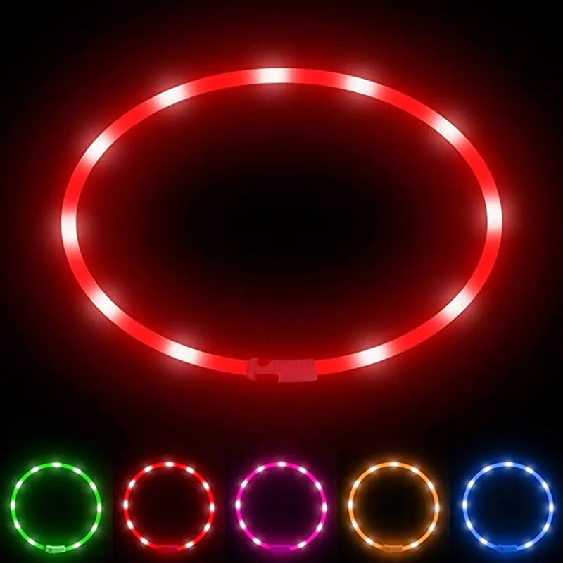 LED Dog Collar USB Rechargeable Light up Dog Collars, Lighted Dog Collar Glowin the Dark, Flashing Lights for Your Walking Night