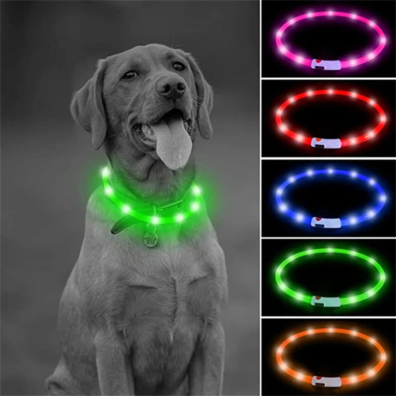 LED Dog Collar USB Rechargeable Light up Dog Collars, Lighted Dog Collar Glowin the Dark, Flashing Lights for Your Walking Night