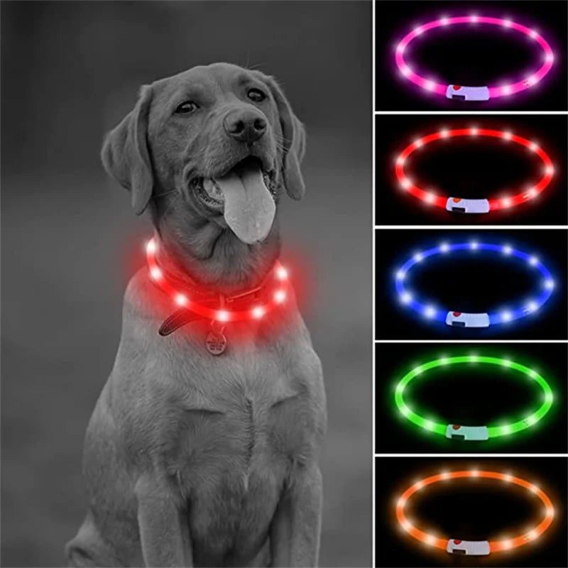 LED Dog Collar USB Rechargeable Light up Dog Collars, Lighted Dog Collar Glowin the Dark, Flashing Lights for Your Walking Night