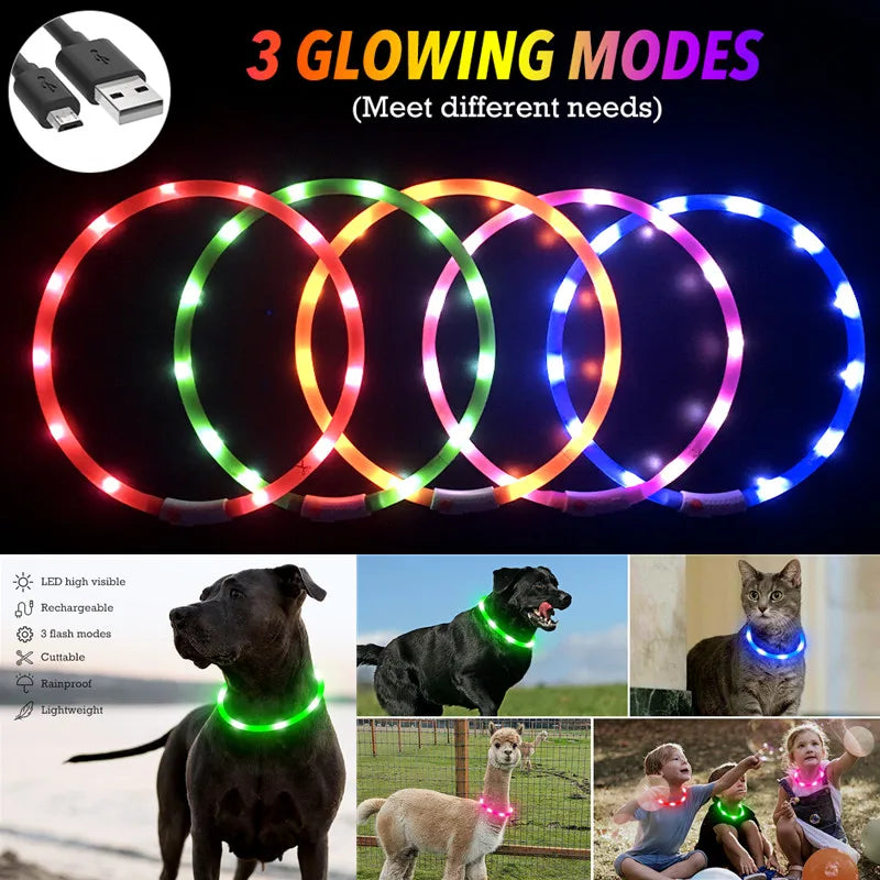 LED Dog Collar USB Rechargeable Light up Dog Collars, Lighted Dog Collar Glowin the Dark, Flashing Lights for Your Walking Night