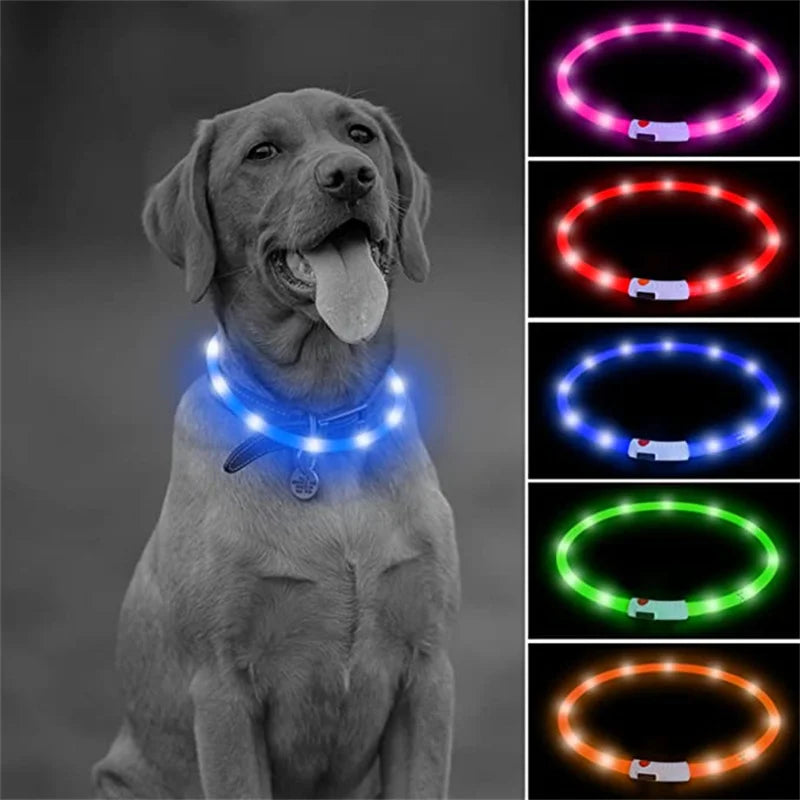 LED Dog Collar USB Rechargeable Light up Dog Collars, Lighted Dog Collar Glowin the Dark, Flashing Lights for Your Walking Night