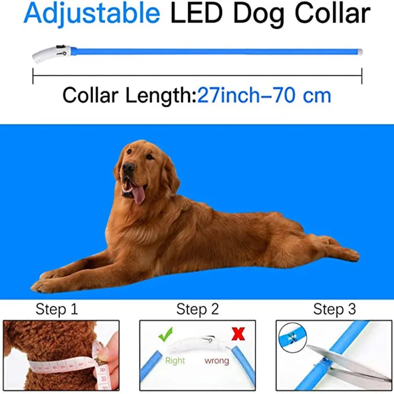 LED Dog Collar USB Rechargeable Light up Dog Collars, Lighted Dog Collar Glowin the Dark, Flashing Lights for Your Walking Night