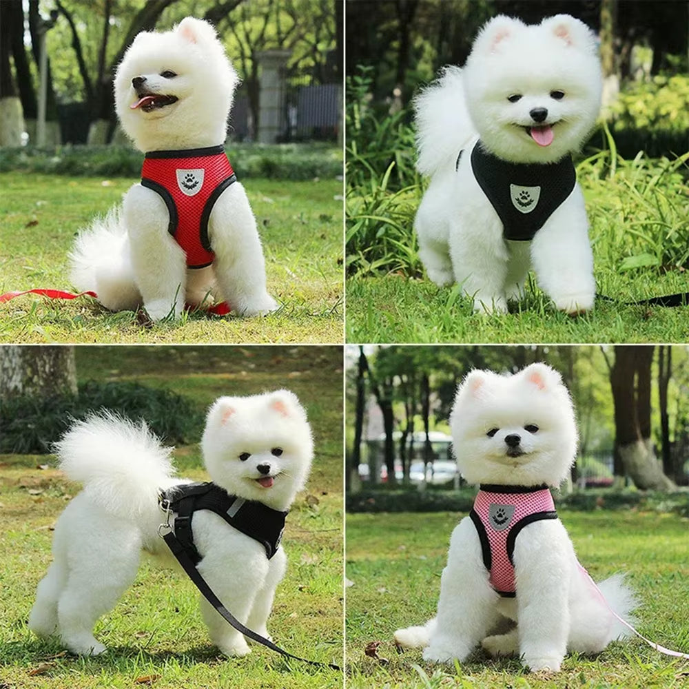 Dog Harness Vest Chest Cat Collars Rope Adjustable Breathable Mesh Puppy Harness for Outdoor Walking Small Medium Pet Supplies