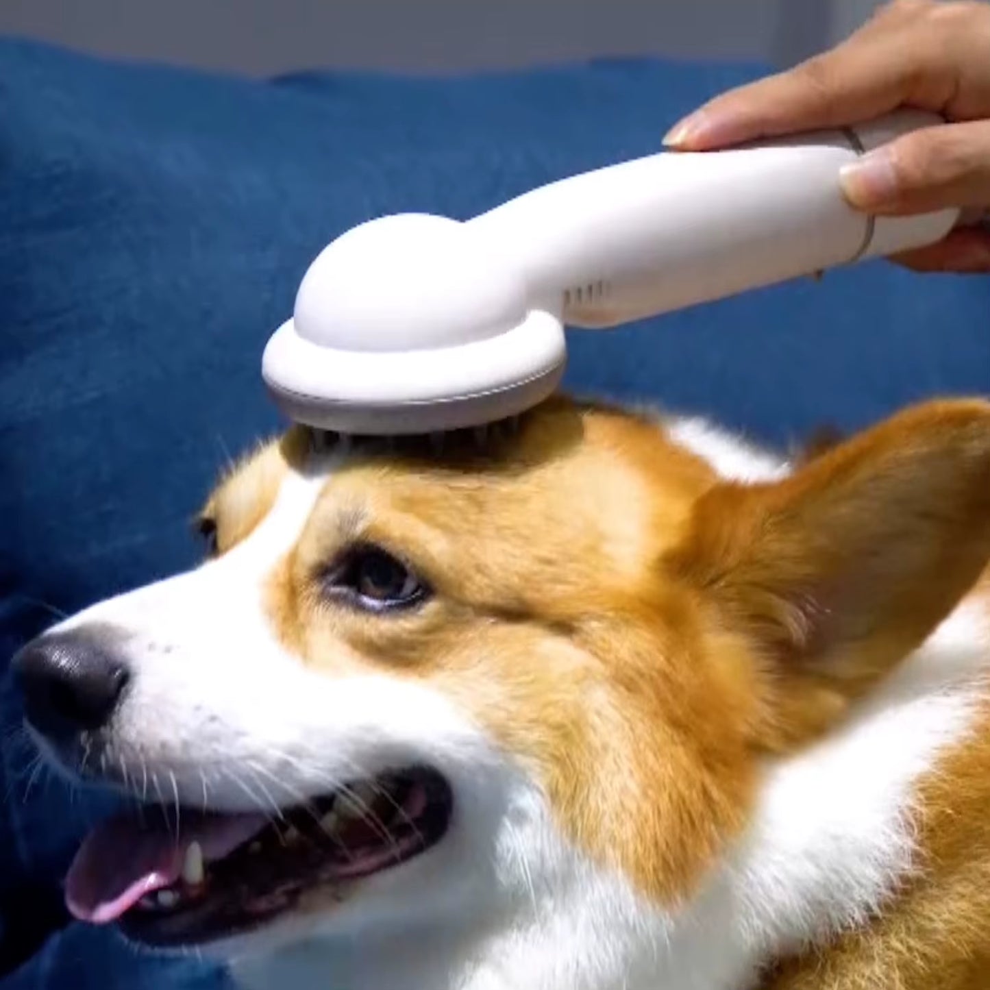 Dog Hair Cat Hair Cut Brush Tool Pet Brush Grooming Vacuum Cleaner