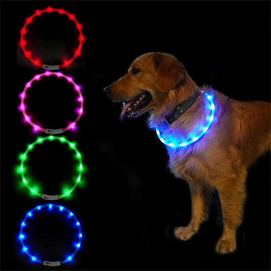 LED Dog Collar USB Rechargeable Light up Dog Collars, Lighted Dog Collar Glowin the Dark, Flashing Lights for Your Walking Night