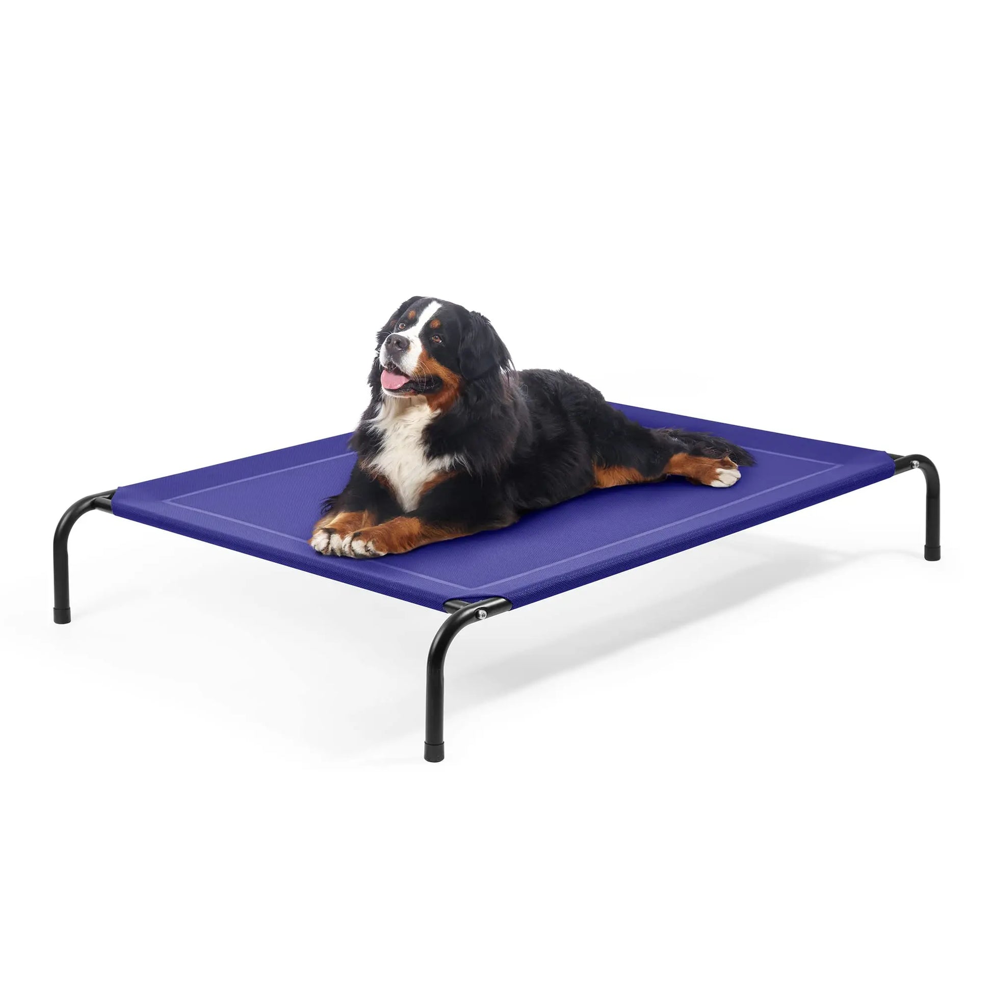 Factory Outlet Easy to Move Large Removable Pet Beds, Washable and Breathable Elevated Dog Beds, Portable Elevated Pet Camp Beds