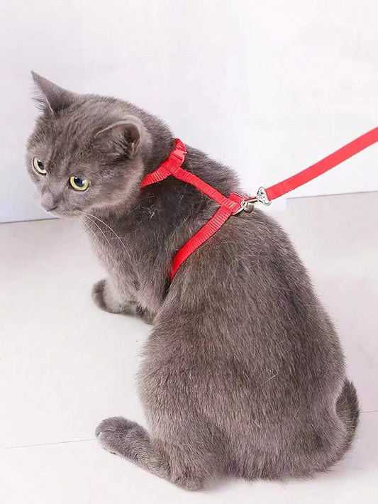 A Cat Leash, a Cat Leash, a Cat Leash, a Cat Leash, a Cat Leash, a Pet Chest Strap, a Cat Chain, and a Cat Leash