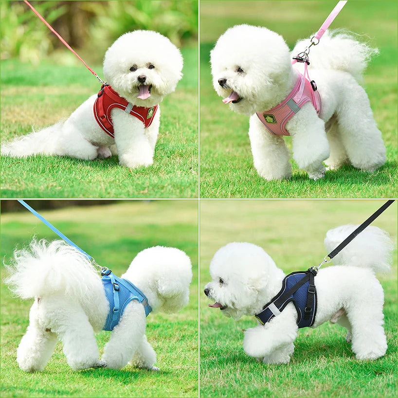 Reflective Dog Cat Harness Nylon Mesh French Bulldog Harness Puppy Small Dogs Harnesses Vest Leash Set for Chihuahua Pug Walking