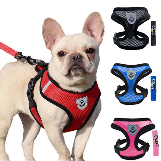Dog Harness Vest Chest Cat Collars Rope Adjustable Breathable Mesh Puppy Harness for Outdoor Walking Small Medium Pet Supplies
